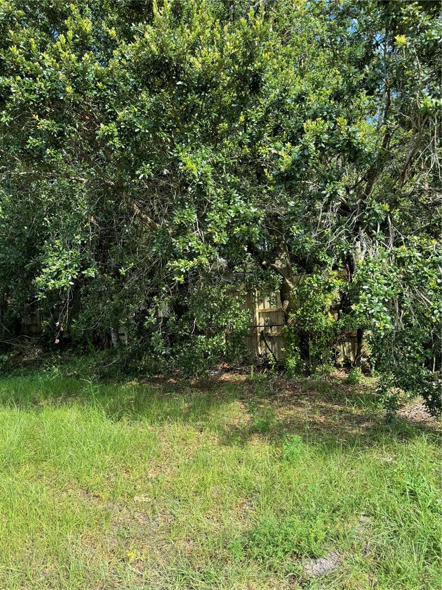 Image 4 of 10 For 5325 Kempston Drive