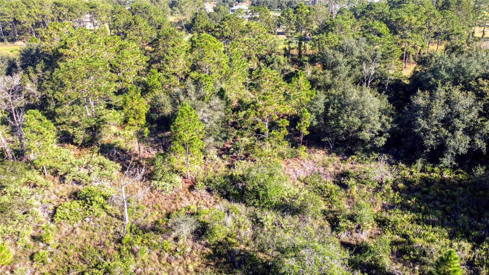 Image 5 of 6 For 0 Reynolds Parkway