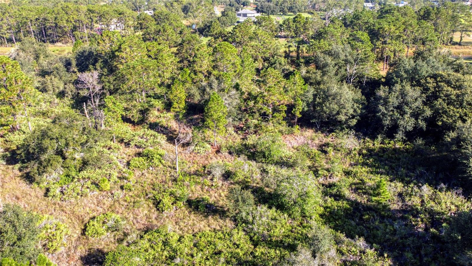 Image 6 of 6 For 0 Reynolds Parkway