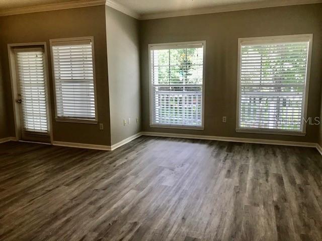 Image 3 of 24 For 599 Campus Street 599