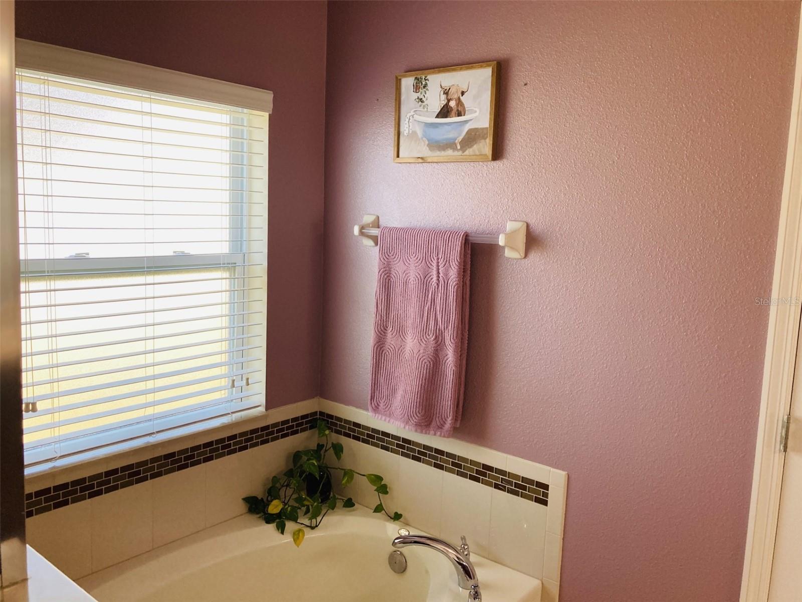 Image 10 of 21 For 222 Bella Way