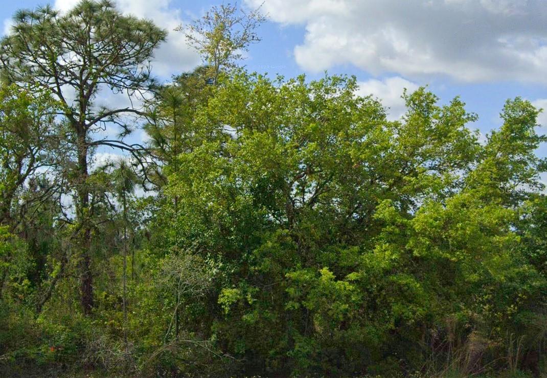 Details for 486 Kulwicki Drive, VENUS, FL 33960