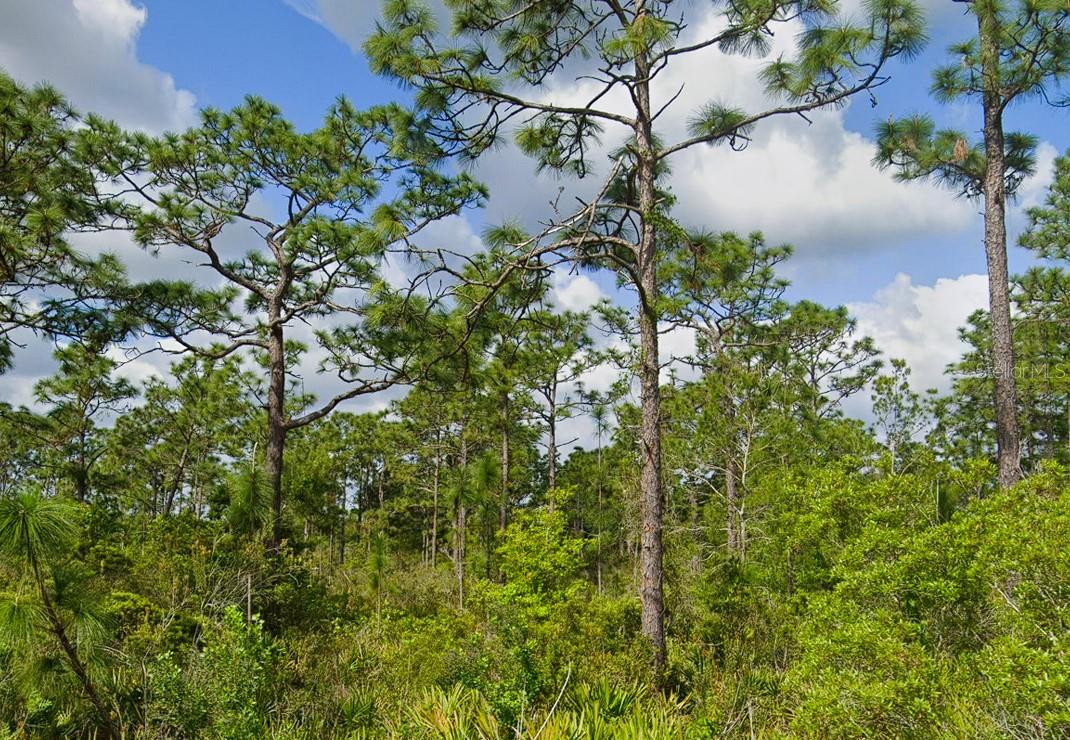 Image 2 of 4 For 486 Kulwicki Drive