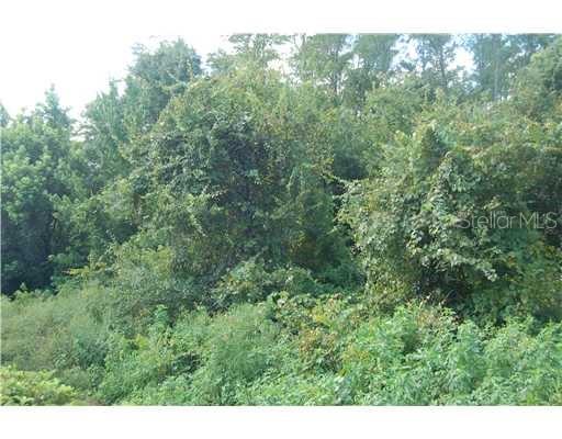 Details for Raulerson Road, FROSTPROOF, FL 33843