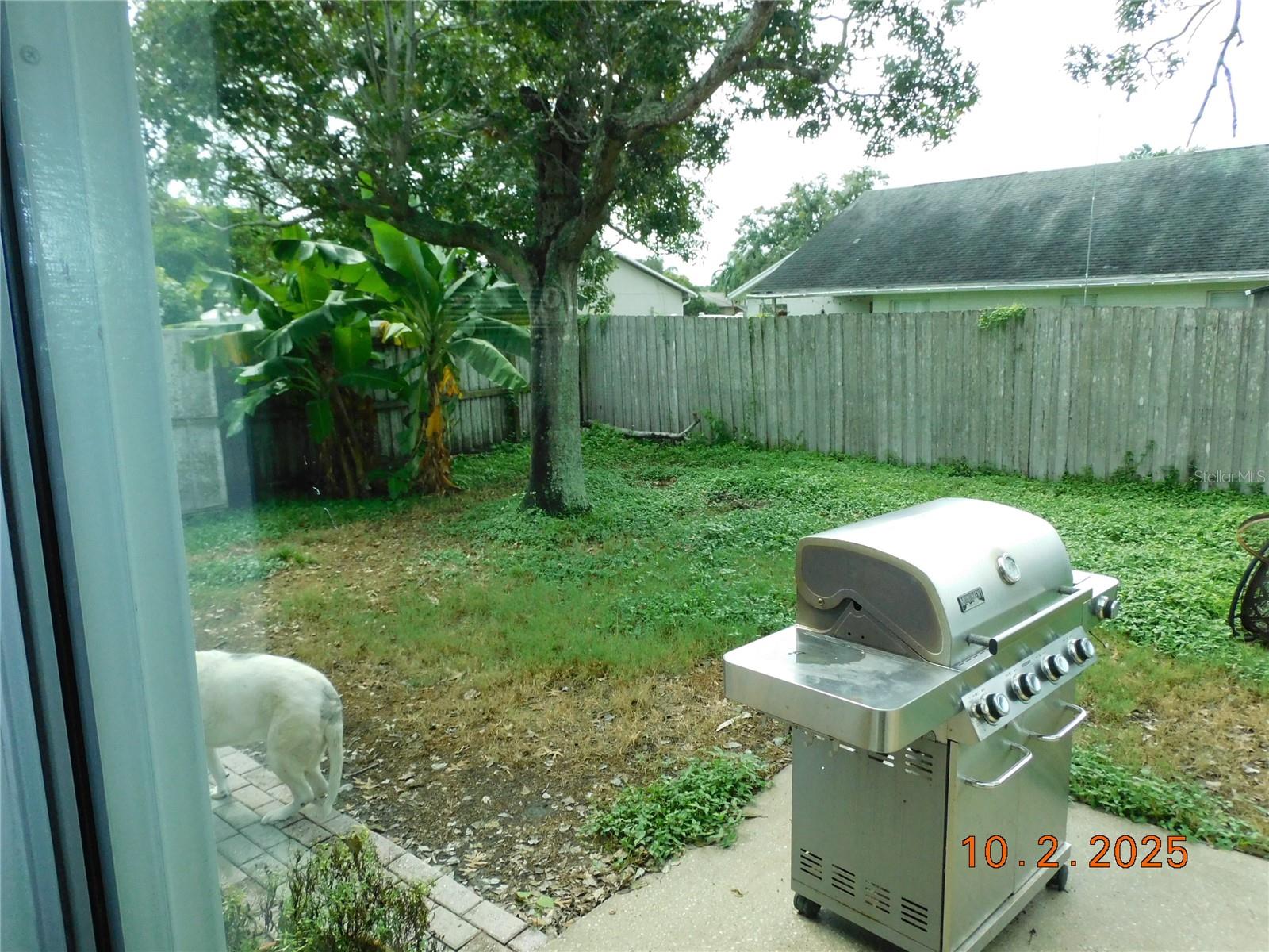 Image 12 of 12 For 2542 Camphorwood Circle