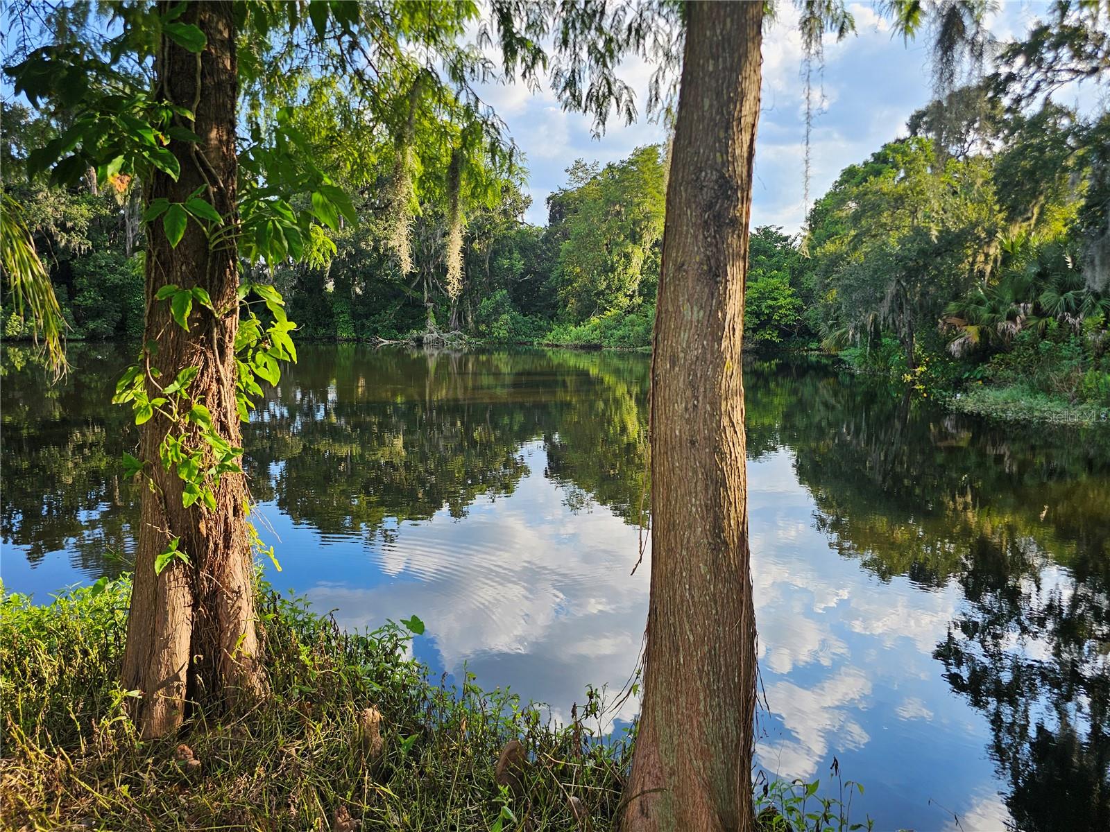 Details for 0 W Central Avenue, ORLANDO, FL 32811