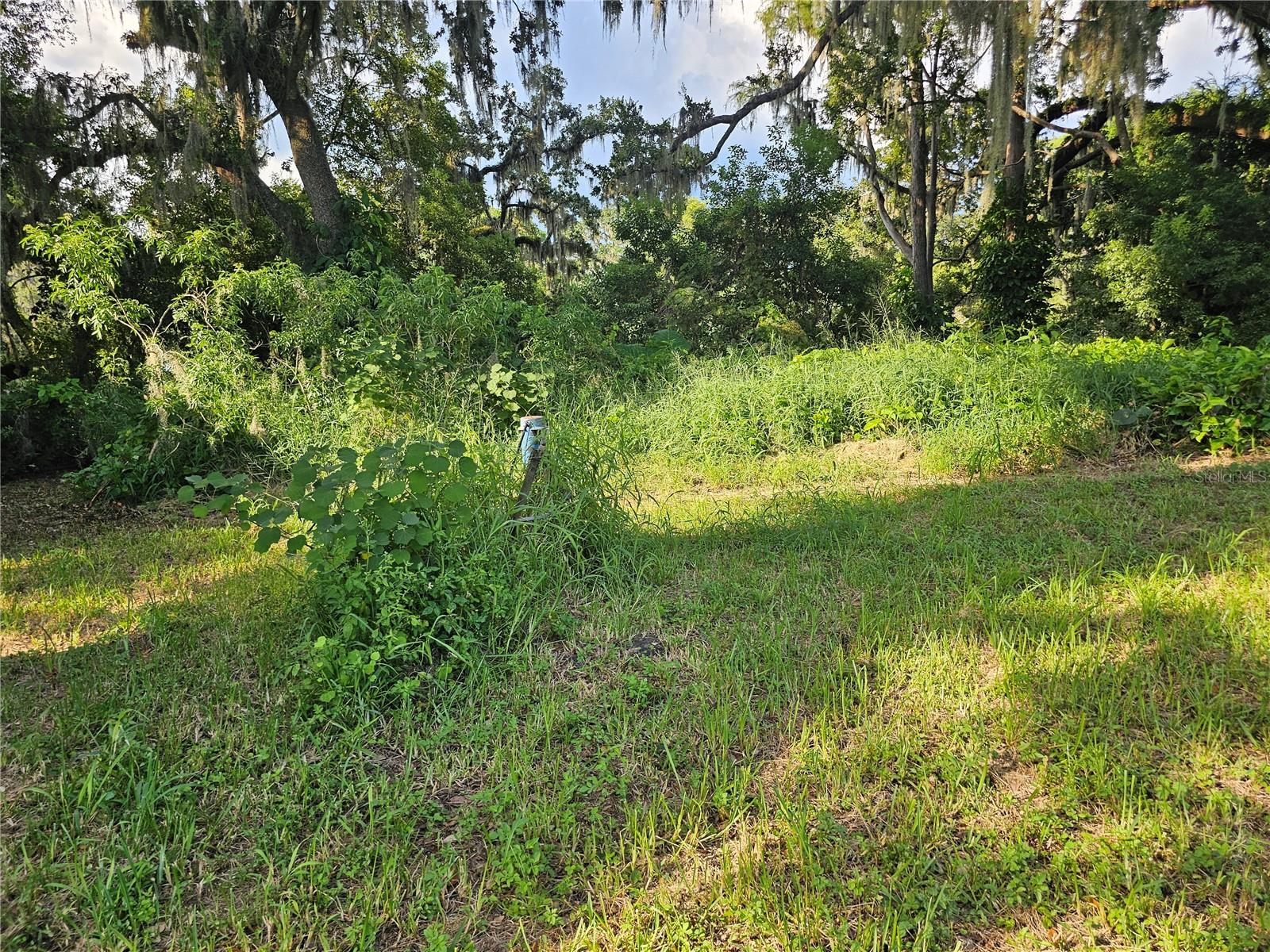 Image 5 of 10 For 0 W Central Avenue