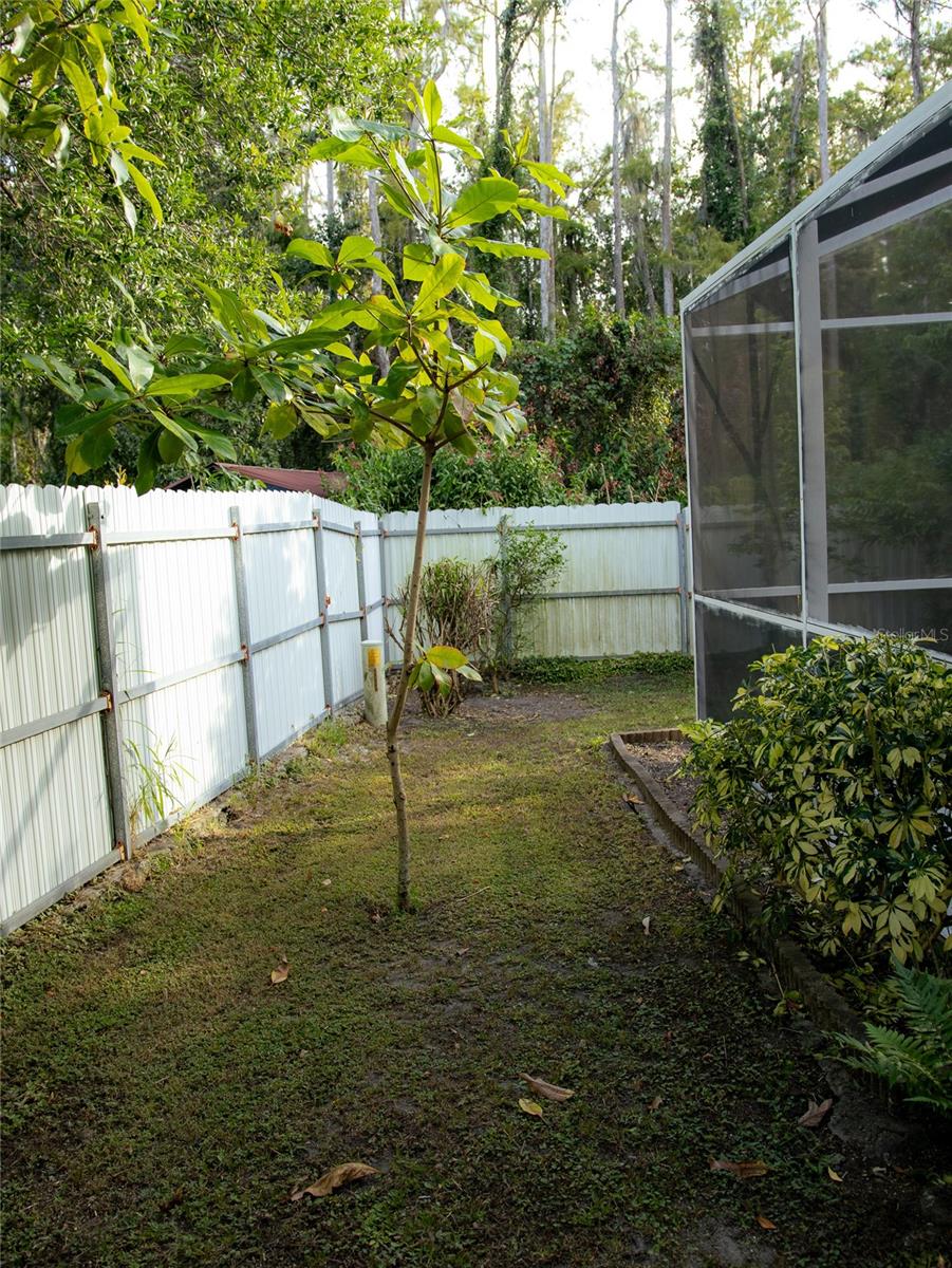 Image 10 of 10 For 565 Pinehurst