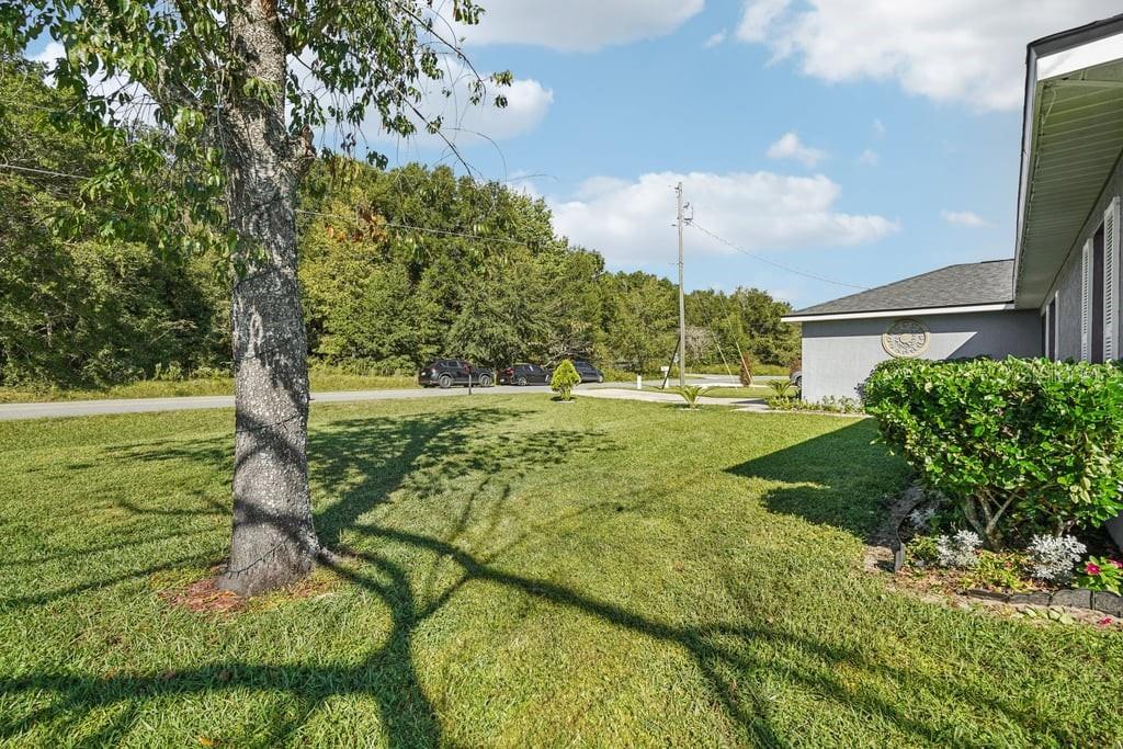 Image 3 of 31 For 133 Walnut Road