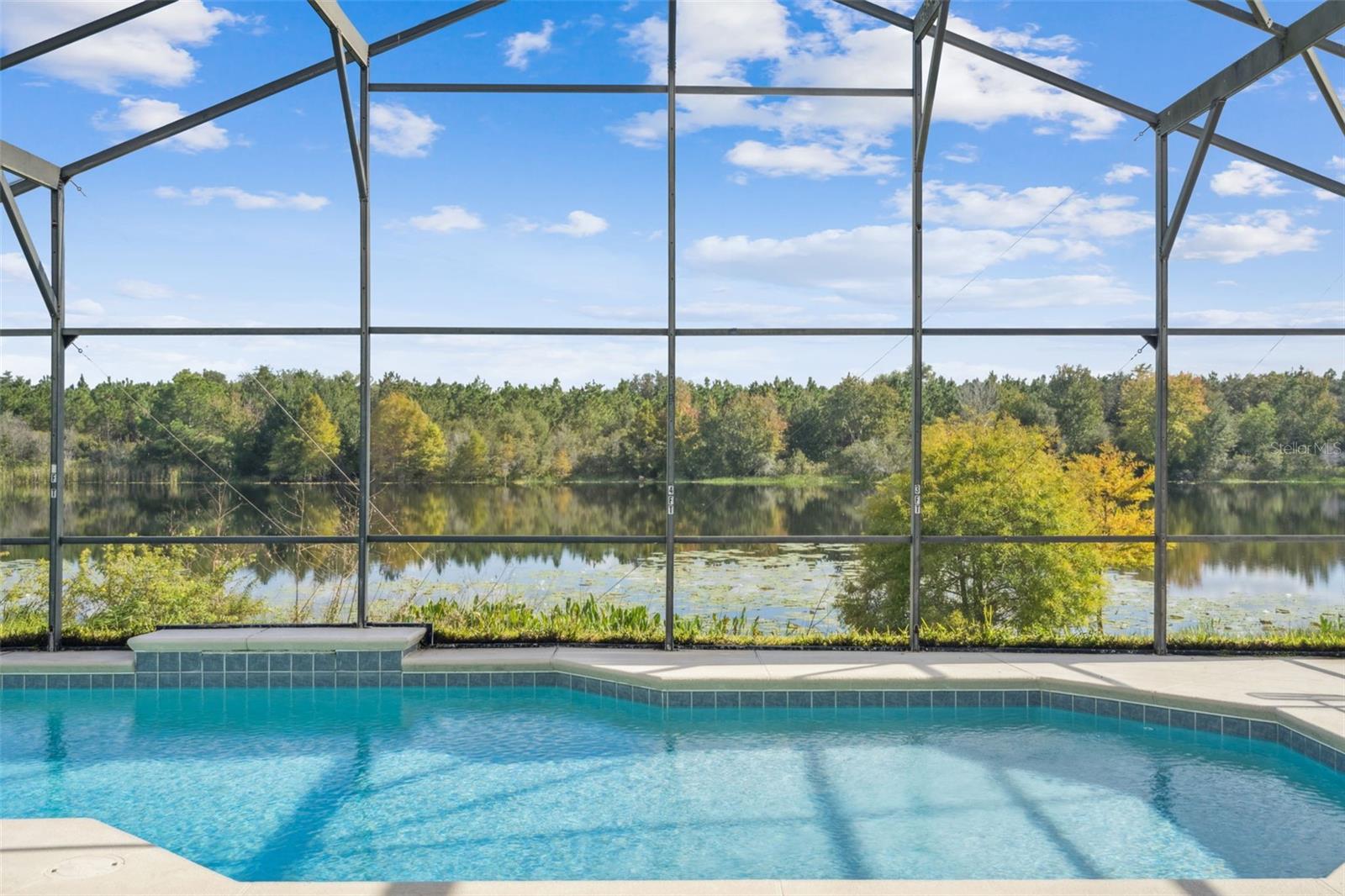 Image 26 of 77 For 2889 Blooming Alamanda Loop