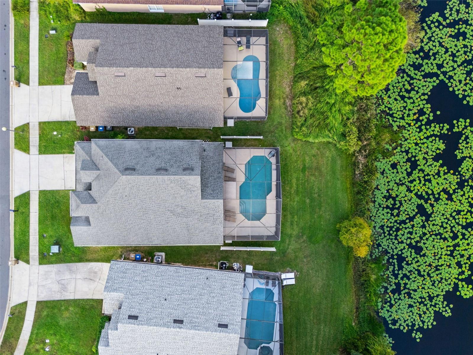 Image 70 of 77 For 2889 Blooming Alamanda Loop