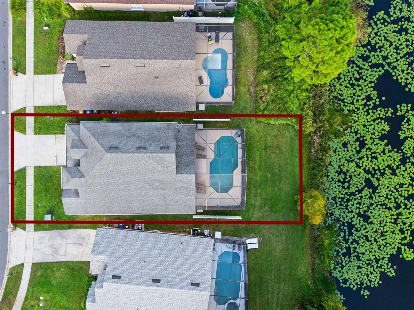 Image 71 of 77 For 2889 Blooming Alamanda Loop