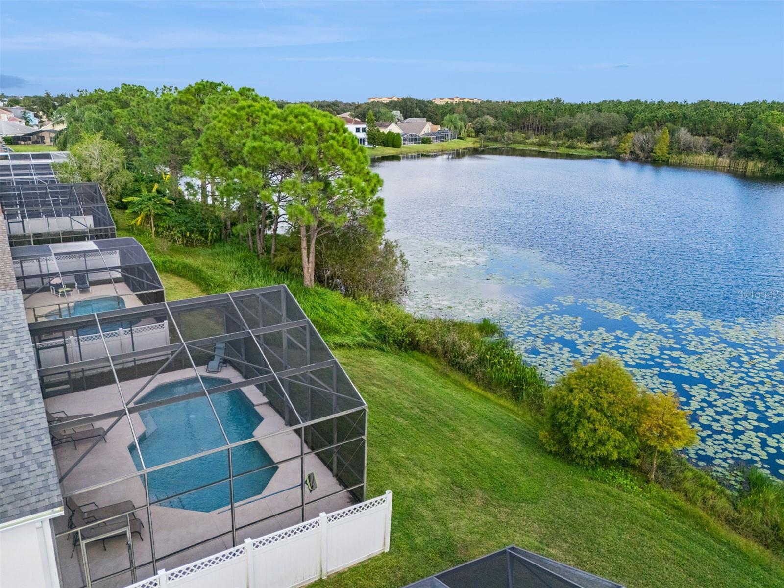 Image 72 of 77 For 2889 Blooming Alamanda Loop