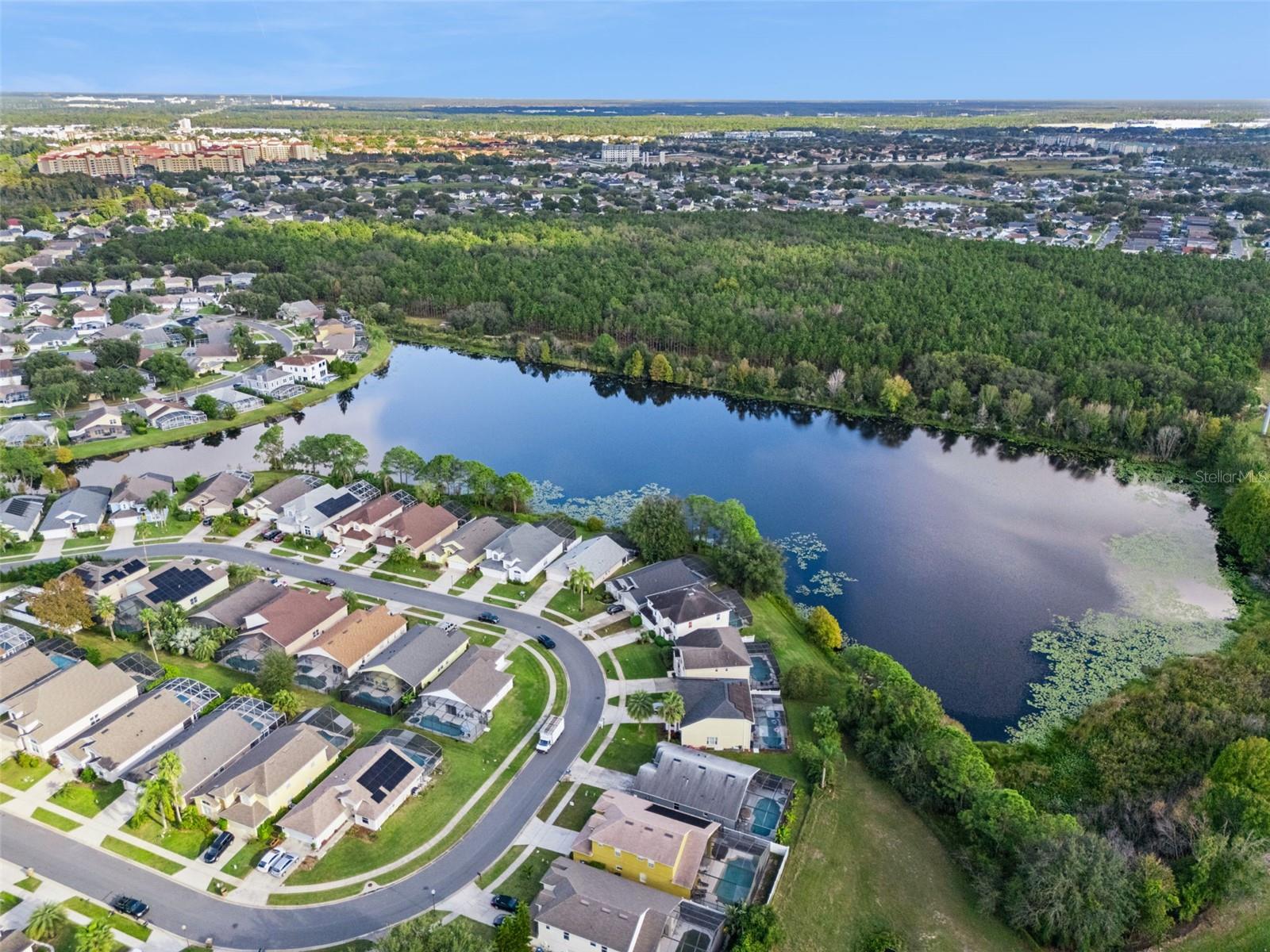 Image 73 of 77 For 2889 Blooming Alamanda Loop