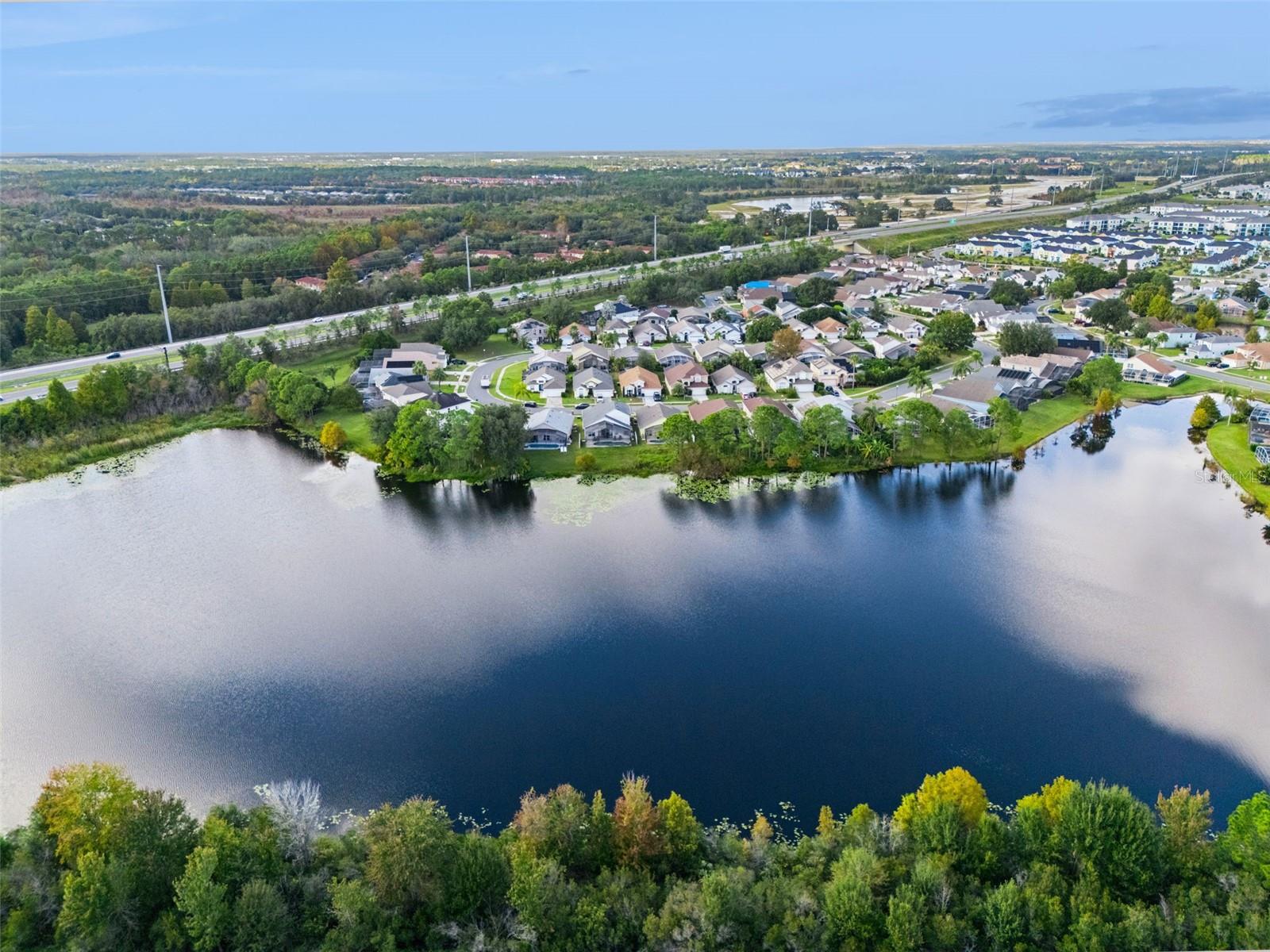 Image 76 of 77 For 2889 Blooming Alamanda Loop