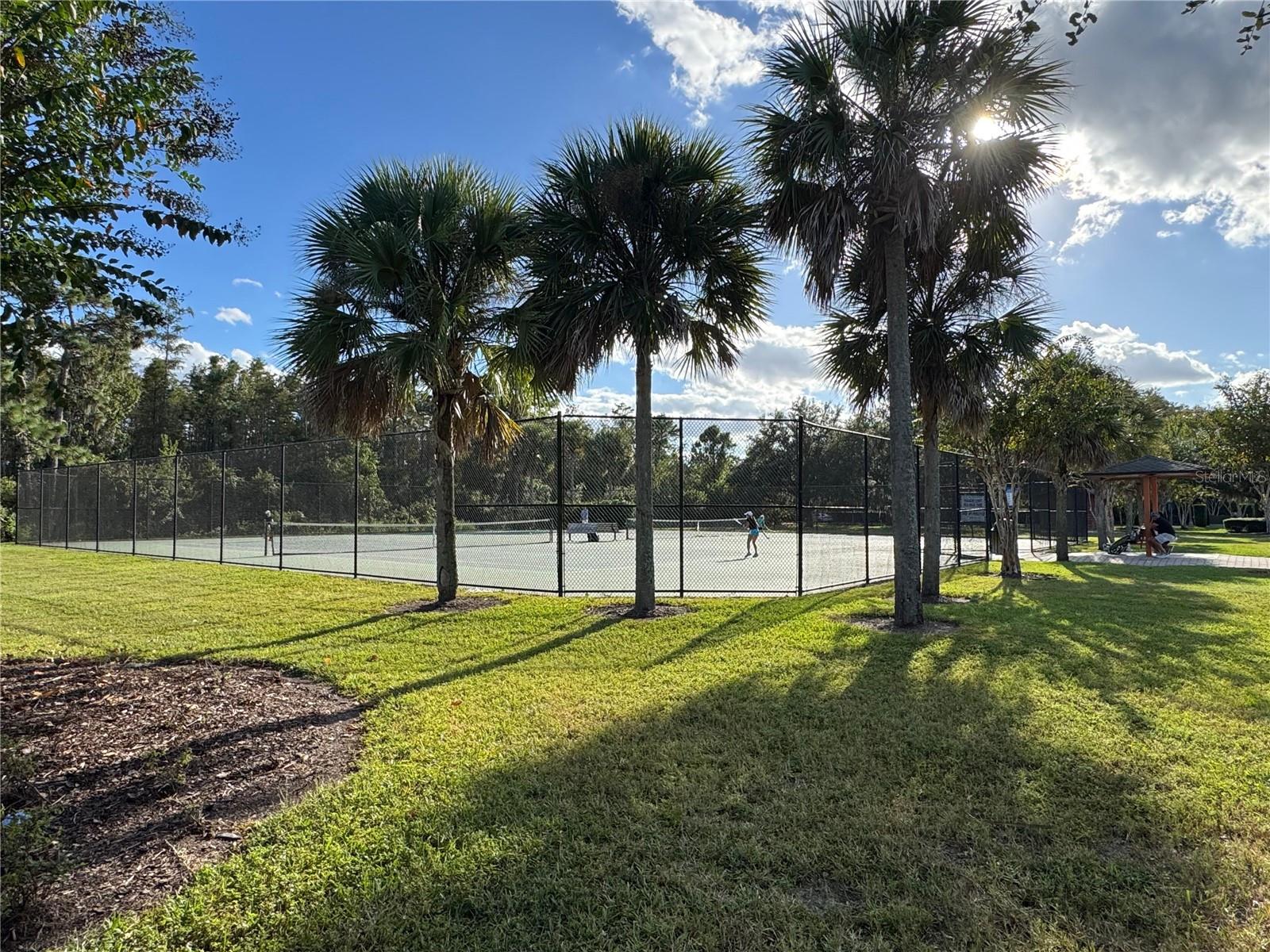 Image 38 of 41 For 10703 Yellow Tiger Lily Drive 24a