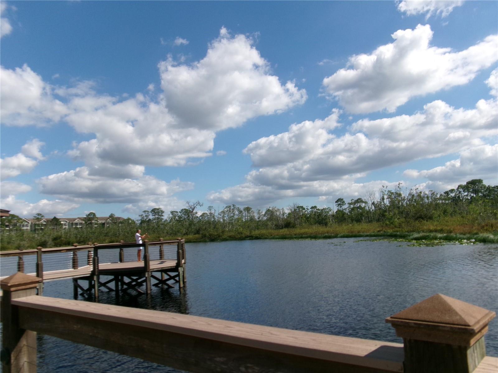 Image 47 of 73 For 14501 Grove Resort Avenue 1612