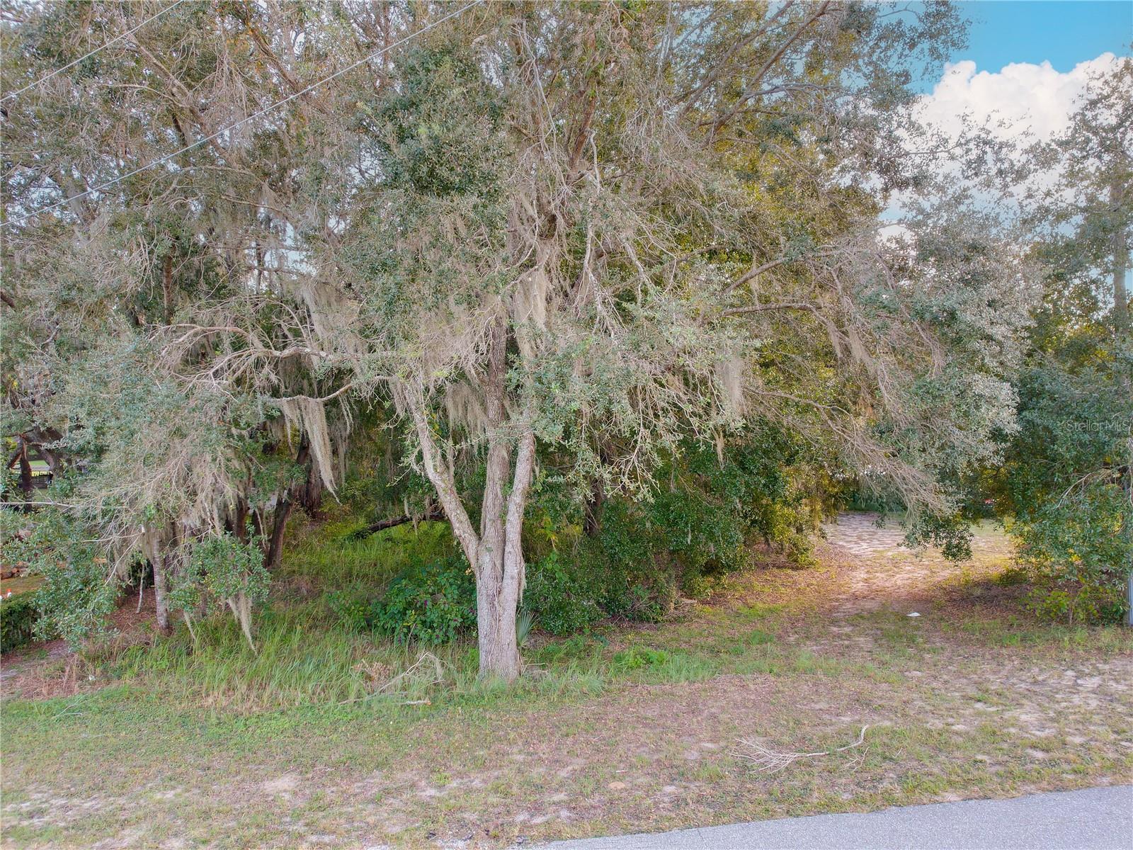 Image 15 of 34 For Tennessee Avenue