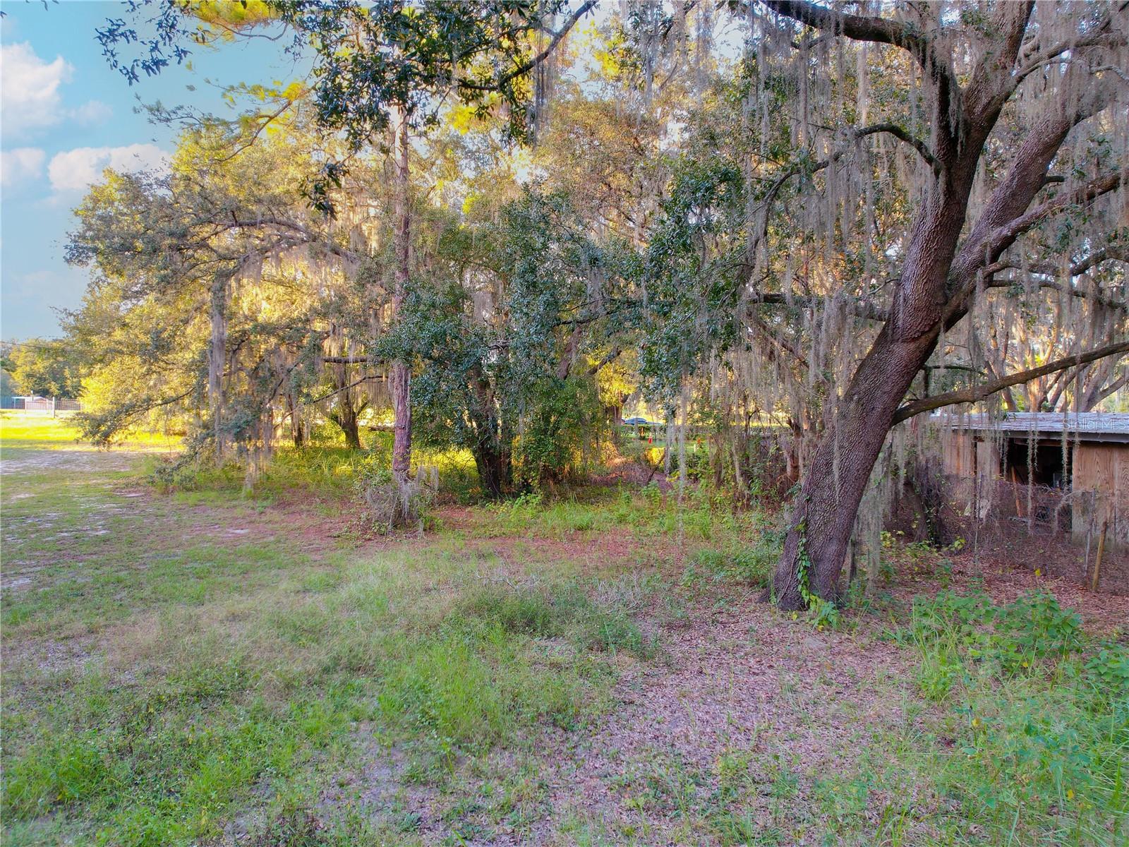 Image 34 of 34 For Tennessee Avenue