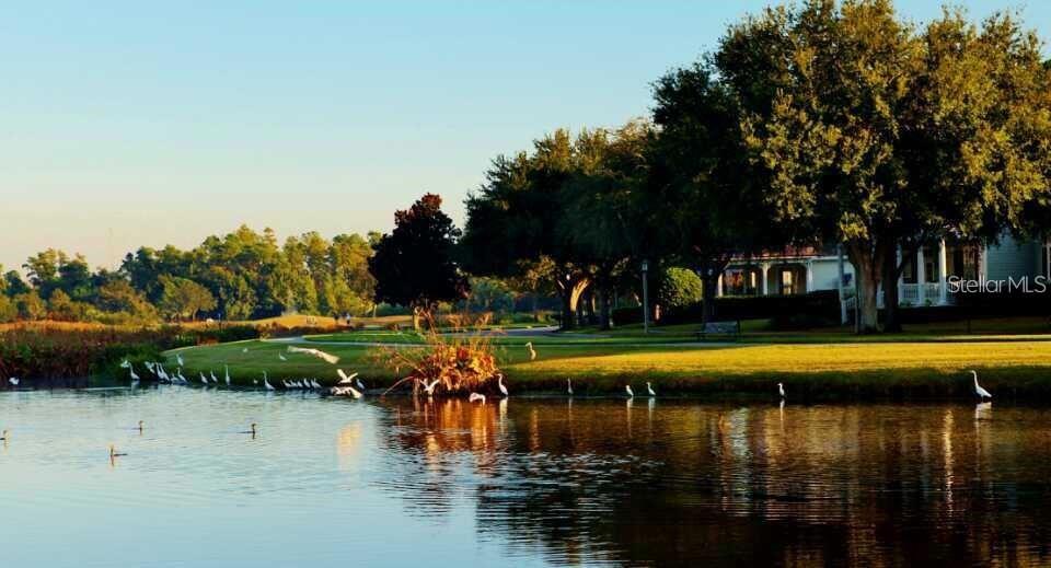 Image 3 of 83 For 934 Westpark Drive