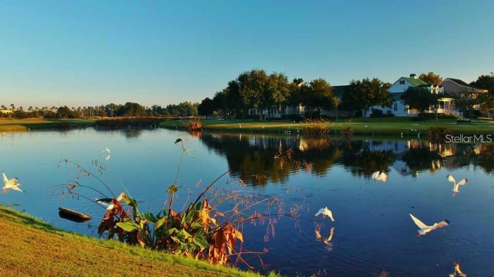 Image 4 of 83 For 934 Westpark Drive