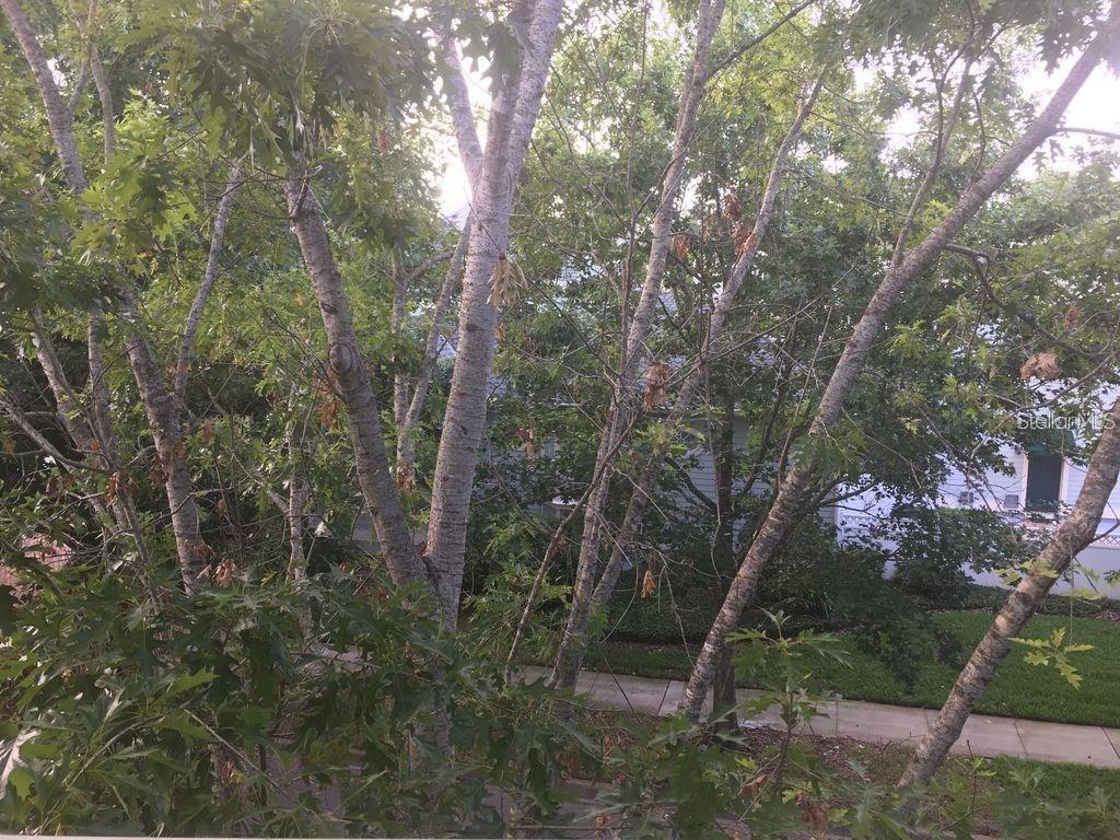 Image 11 of 12 For 425 Water  425