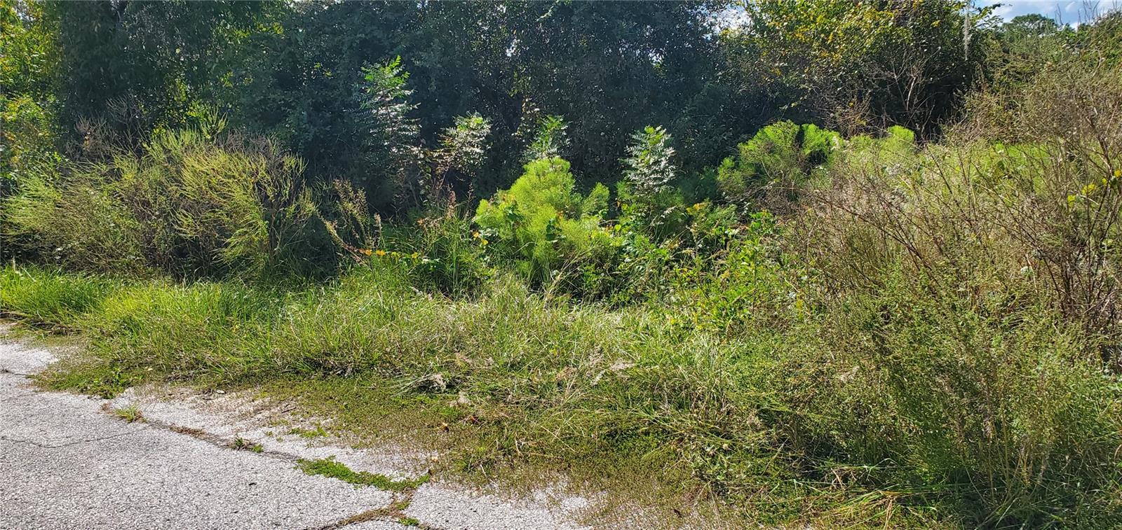 Listing Details for Sebring Court, POINCIANA, FL 34759