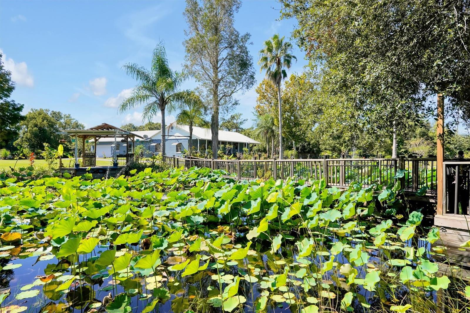 Listing photo id 41 for 4540 Pine Tree Dr