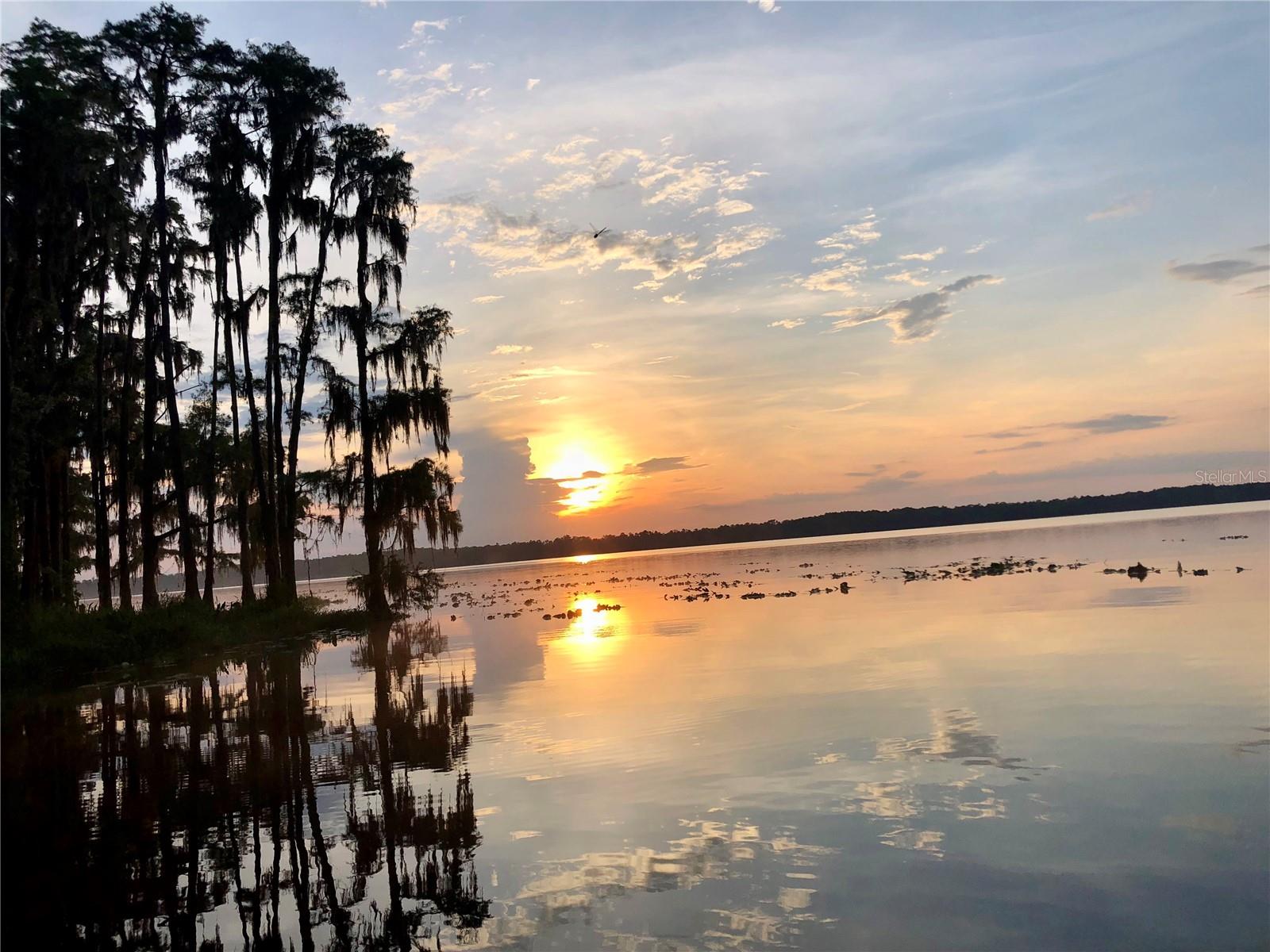 Image 42 of 44 For 6375 Judith Court