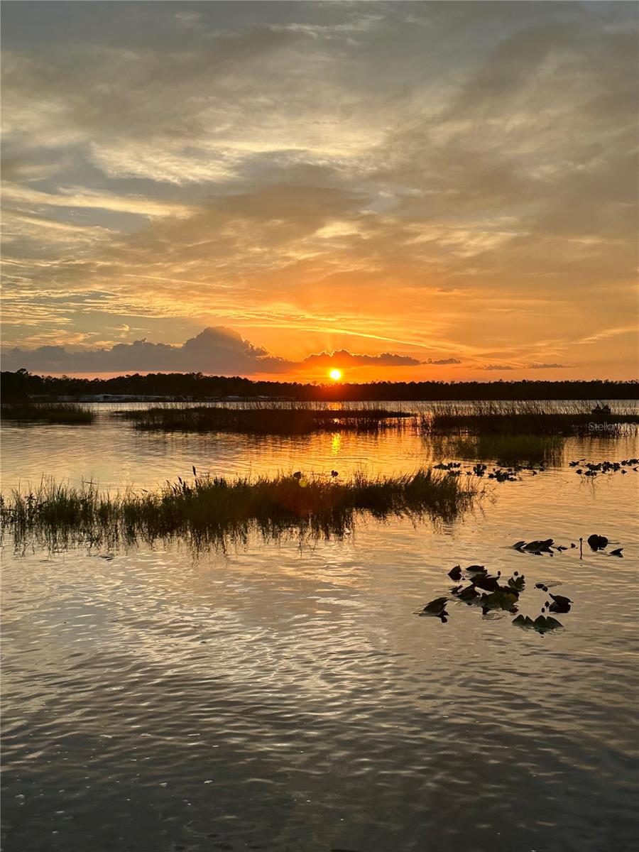 Image 44 of 44 For 6375 Judith Court