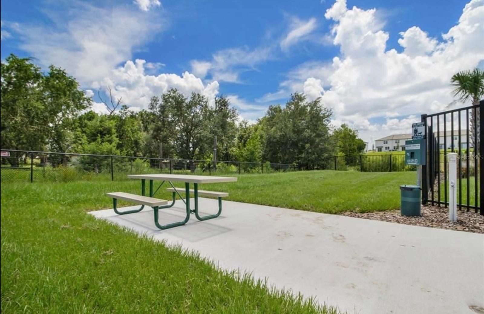 Image 32 of 32 For 855 Grandin Street