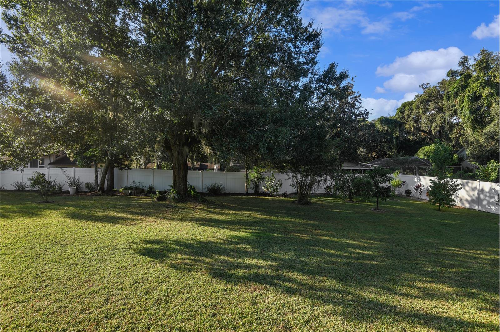 Image 24 of 26 For 111 Auburn  