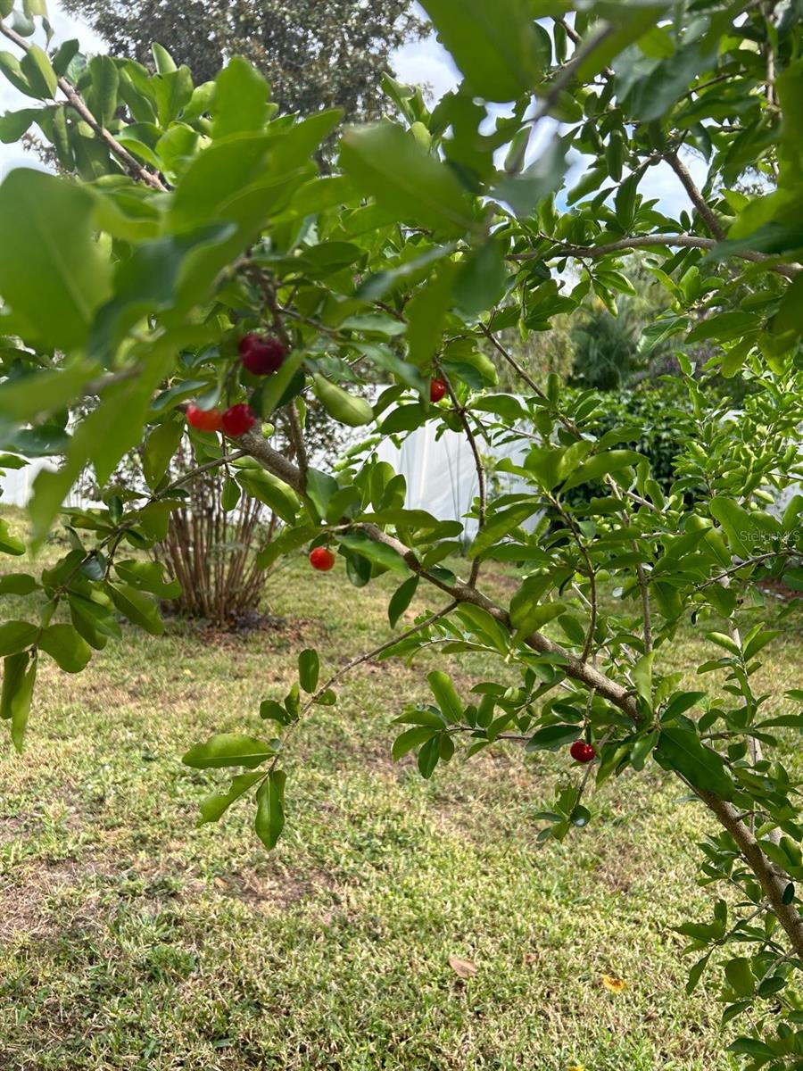 Image 33 of 37 For 111 Auburn Ct