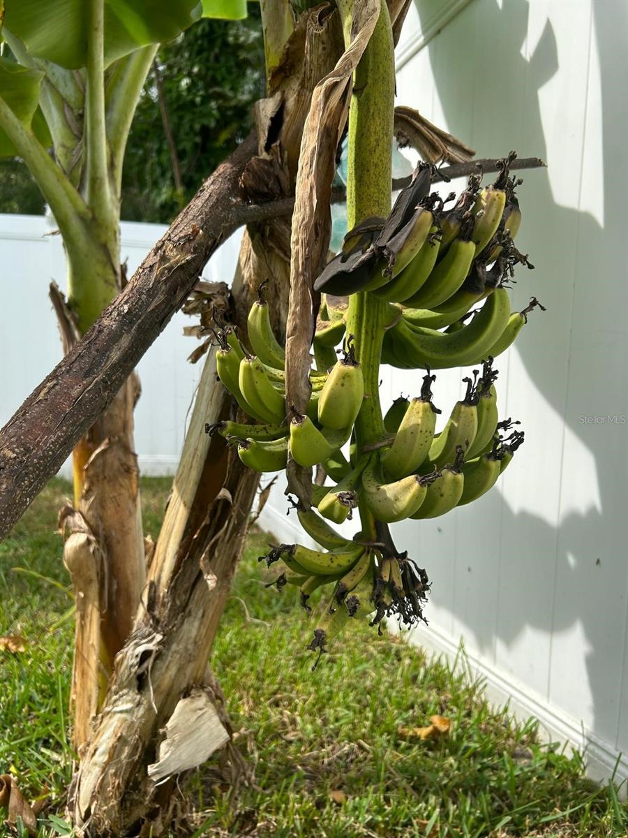 Image 36 of 37 For 111 Auburn Ct