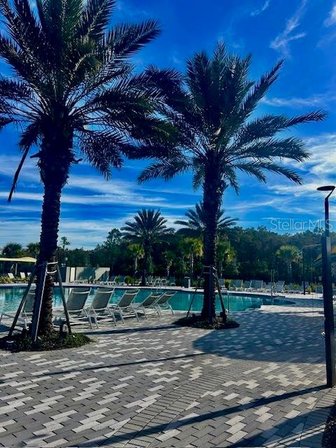 Image 30 of 41 For 11942 Dune Alley