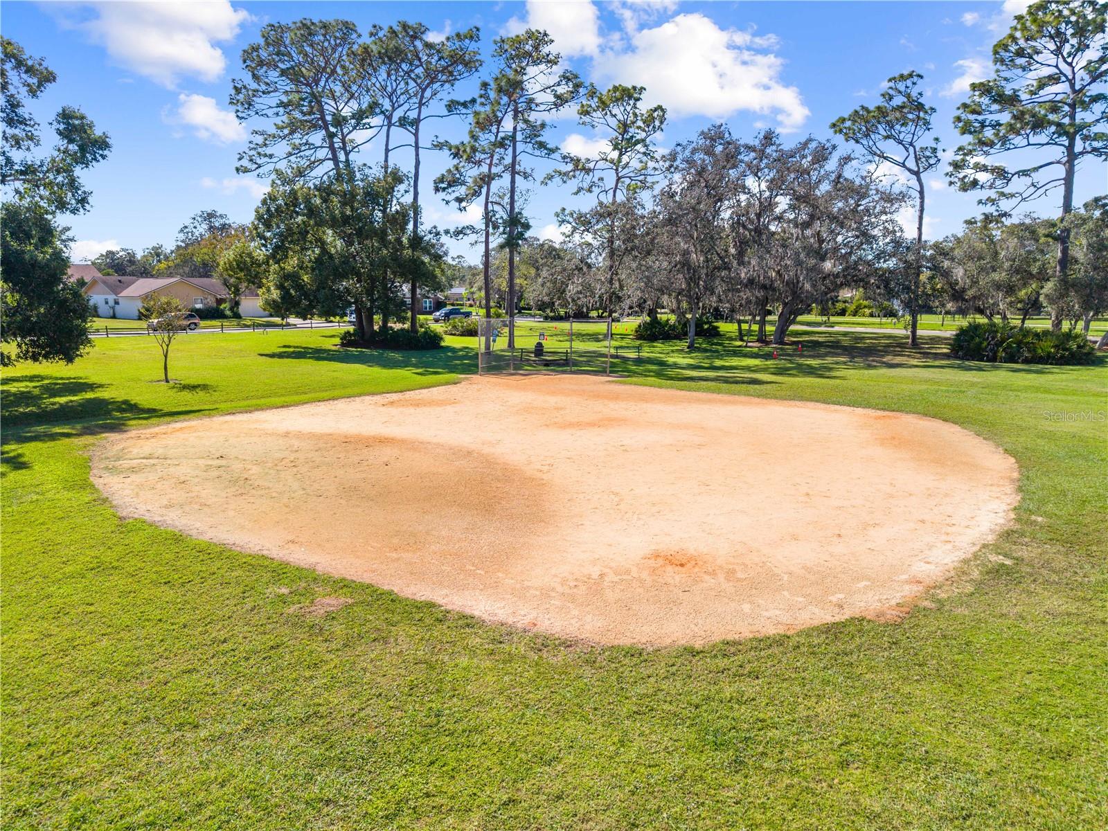 Image 76 of 90 For 234 Duncan Trail