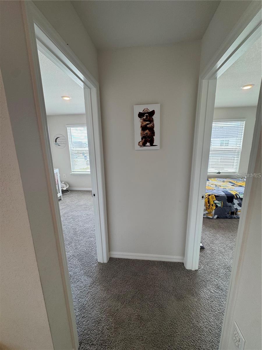 Image 31 of 61 For 5838 Freshwater Canyon Drive