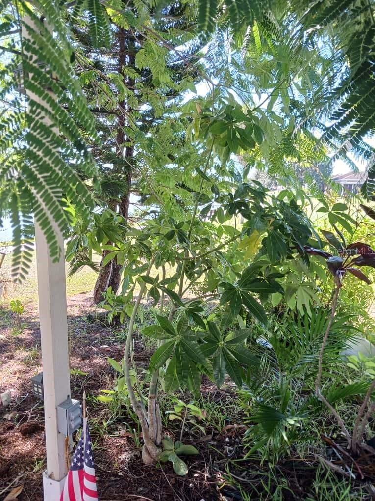 Image 27 of 51 For 417 Club Circle