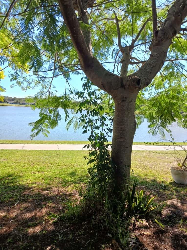 Image 29 of 51 For 417 Club Circle