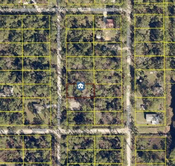 Listing Details for 1535 East Parkway, DELAND, FL 32724