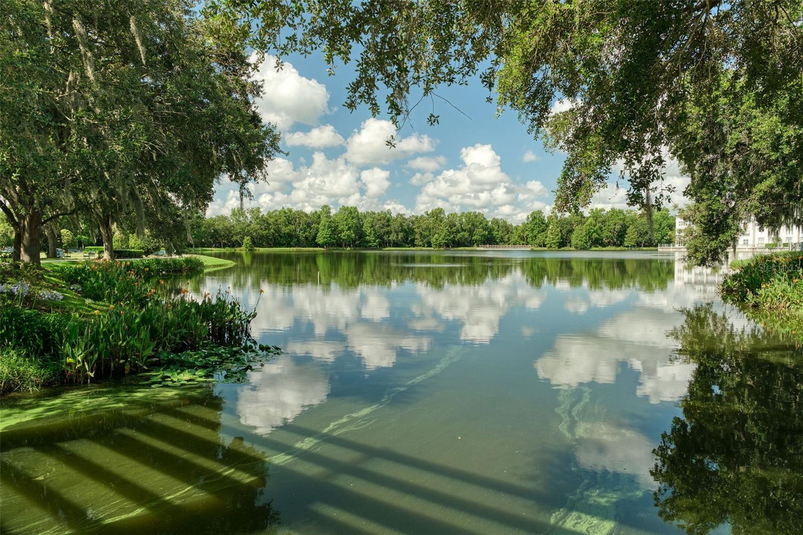 Image 39 of 45 For 1012 Wild Elm Street