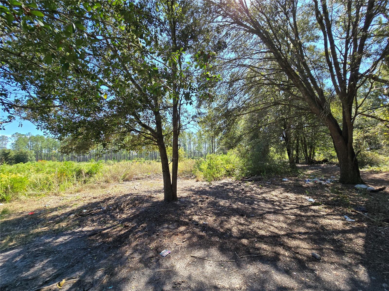 Image 4 of 10 For Sw 150th Street