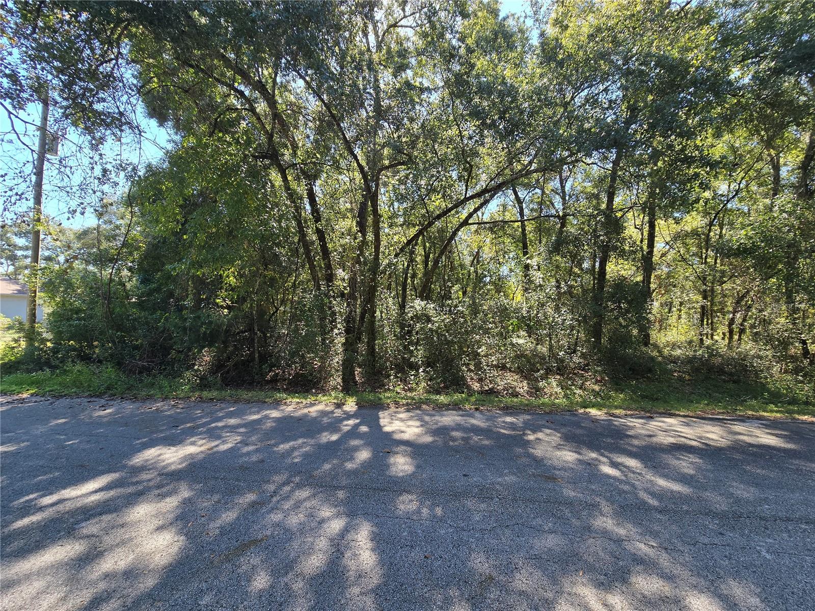 Details for Lot 11 Nw 16th Place, OCALA, FL 34482