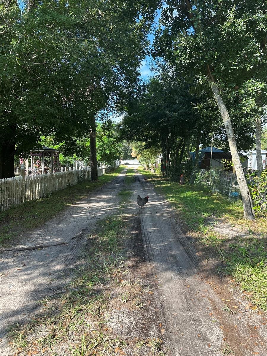 Image 2 of 6 For 717 Boyd Street