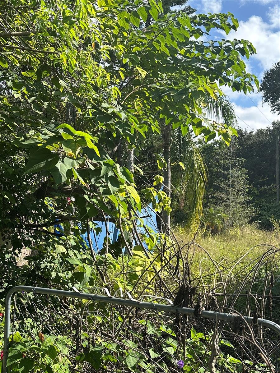 Image 5 of 6 For 717 Boyd Street