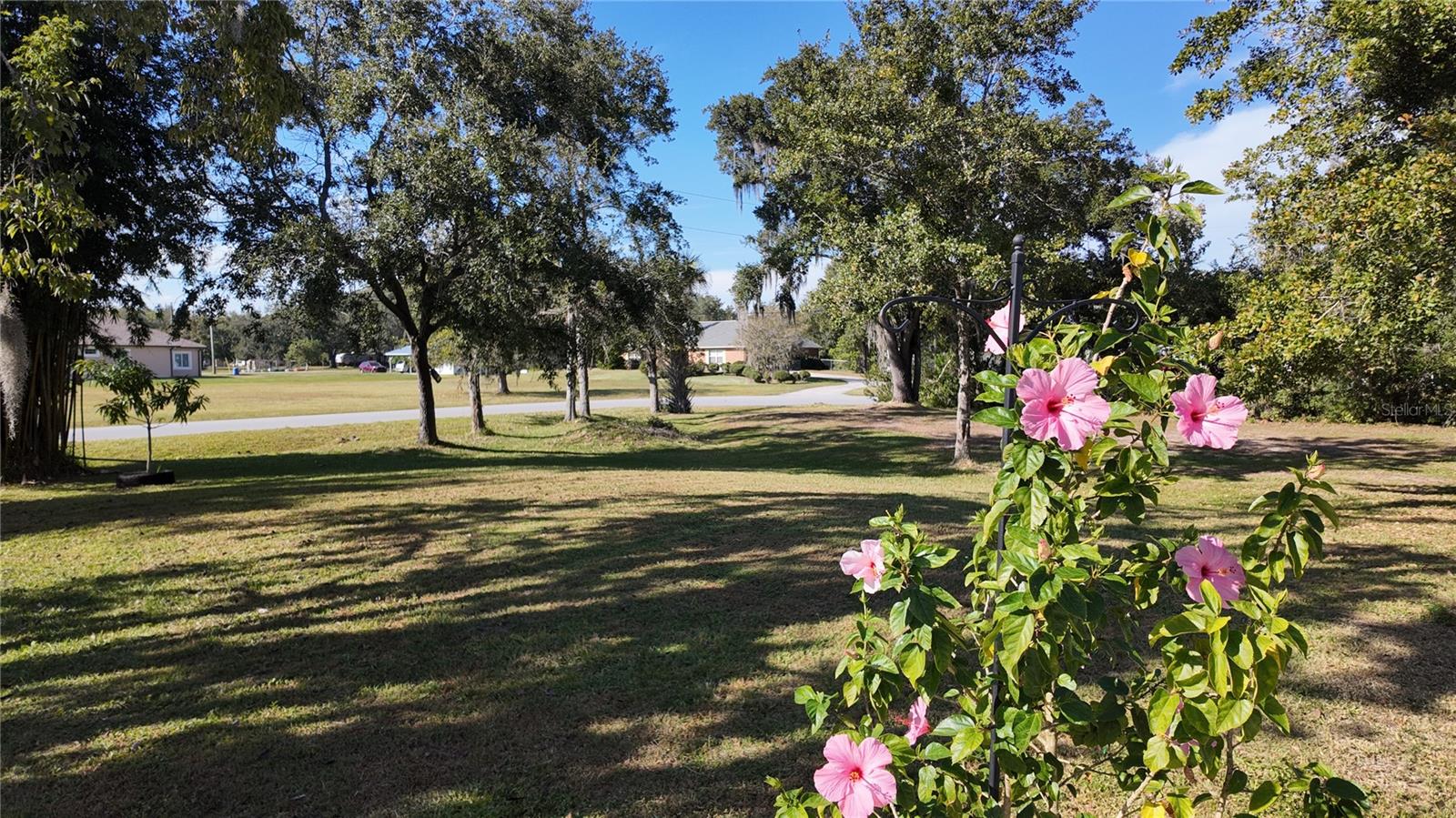 Image 39 of 41 For 3368 Blossom Street