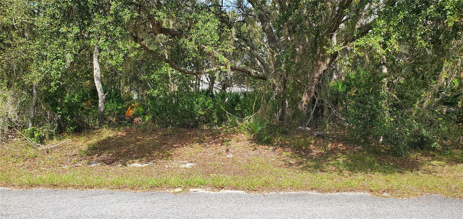 Details for 111 Warmouth Lane, KISSIMMEE, FL 34759