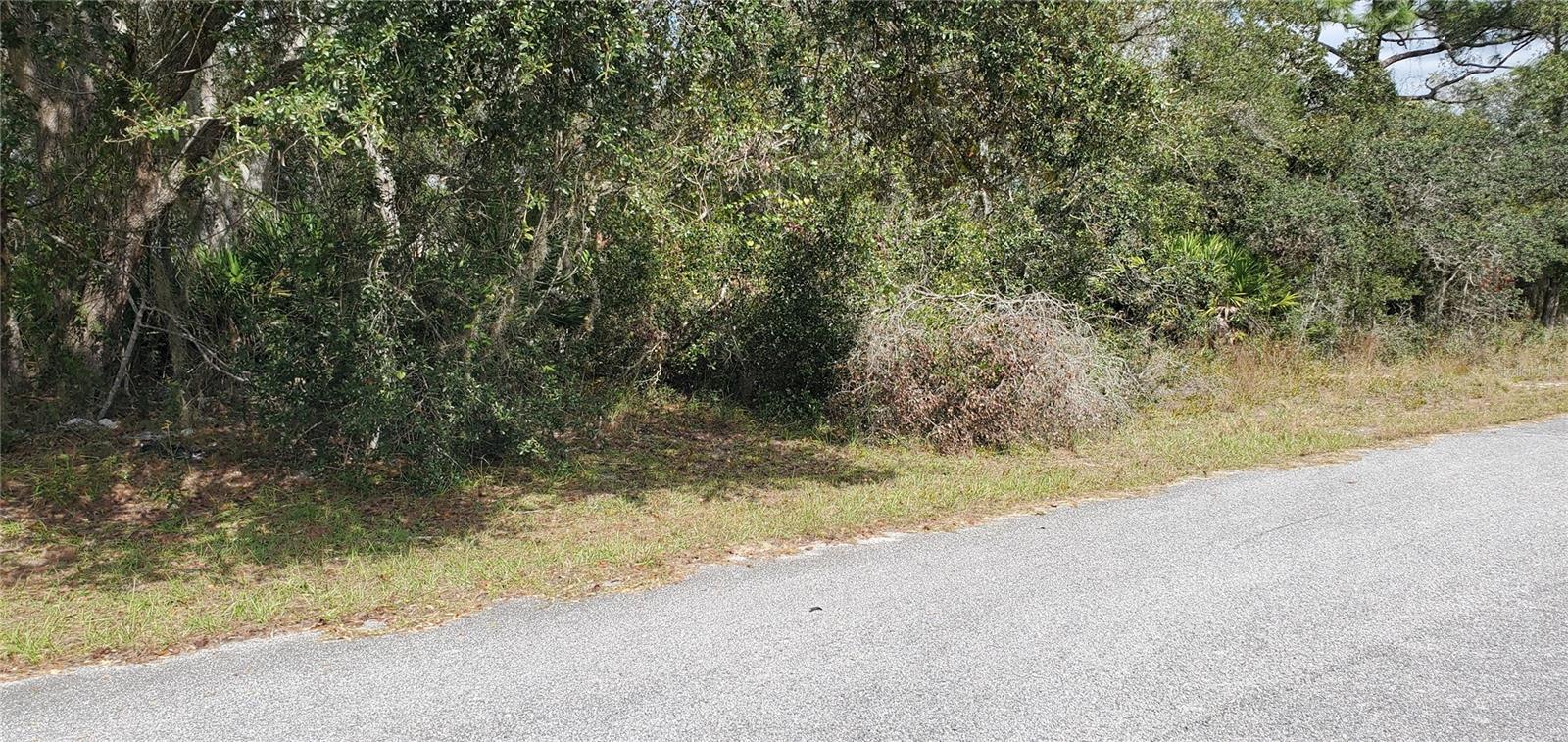 Image 5 of 5 For 111 Warmouth Lane