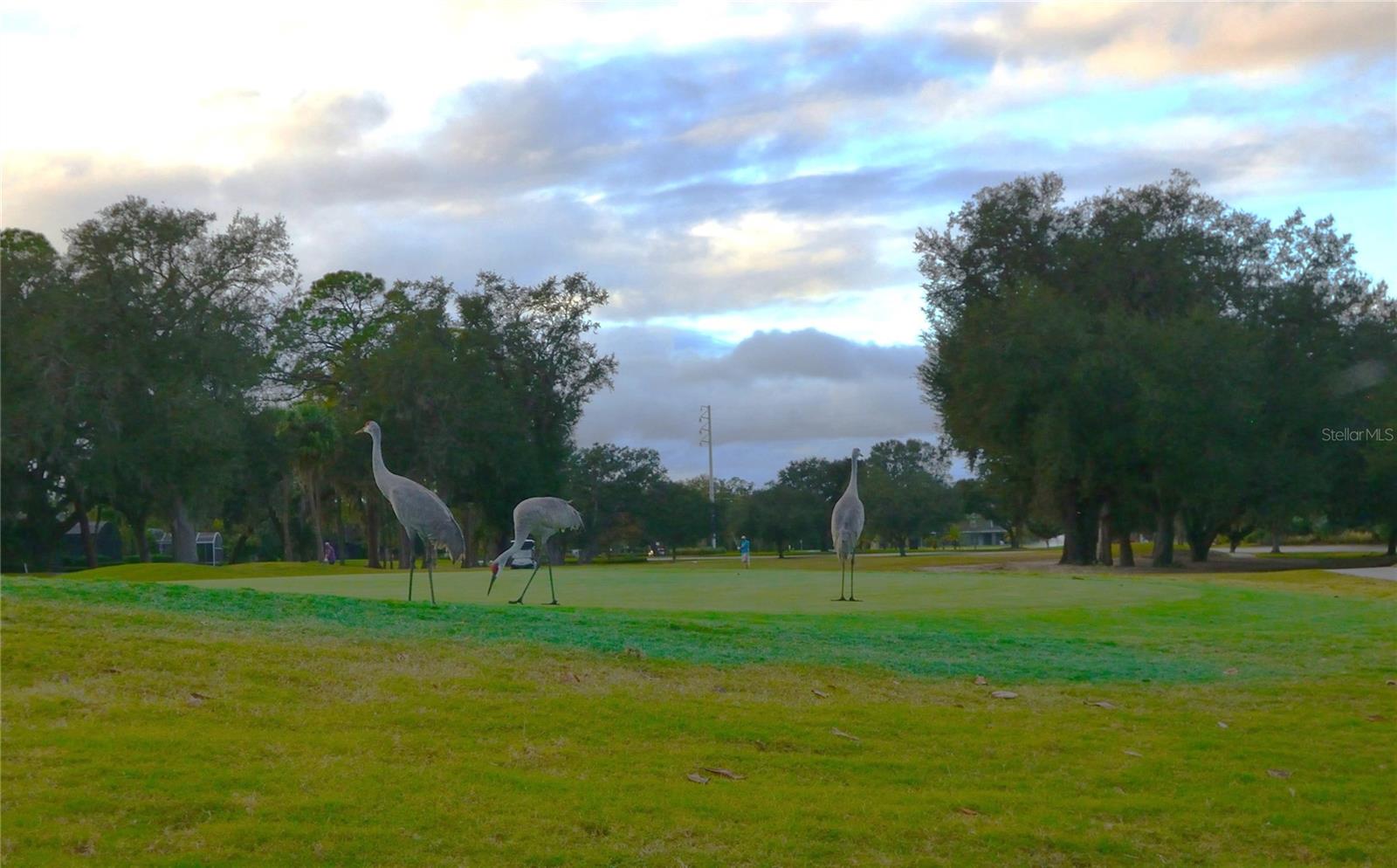 Image 44 of 44 For 225 High Vista Drive