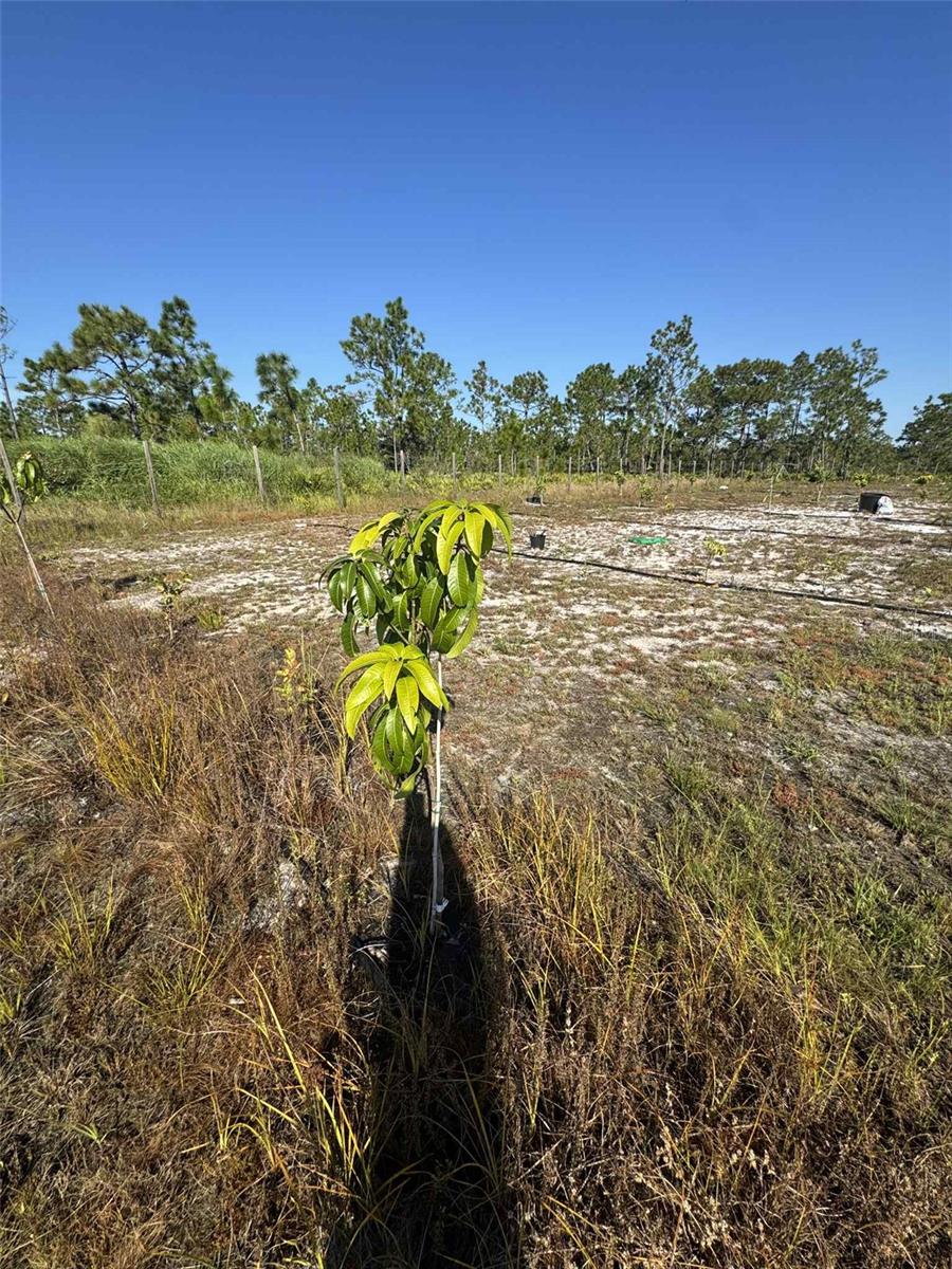 Image 10 of 17 For 61681 Krazy Court